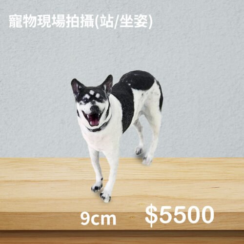 3D寵物公仔(單隻坐/站姿)-9公分