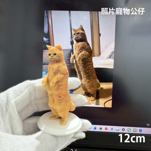 寵物照片公仔-12公分