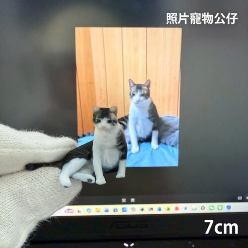 寵物照片公仔-7公分
