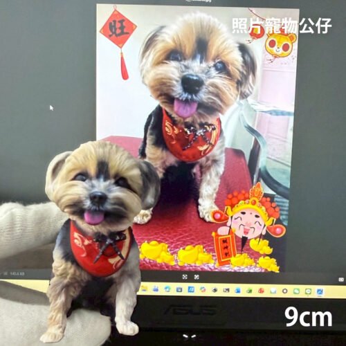 寵物照片公仔-9公分